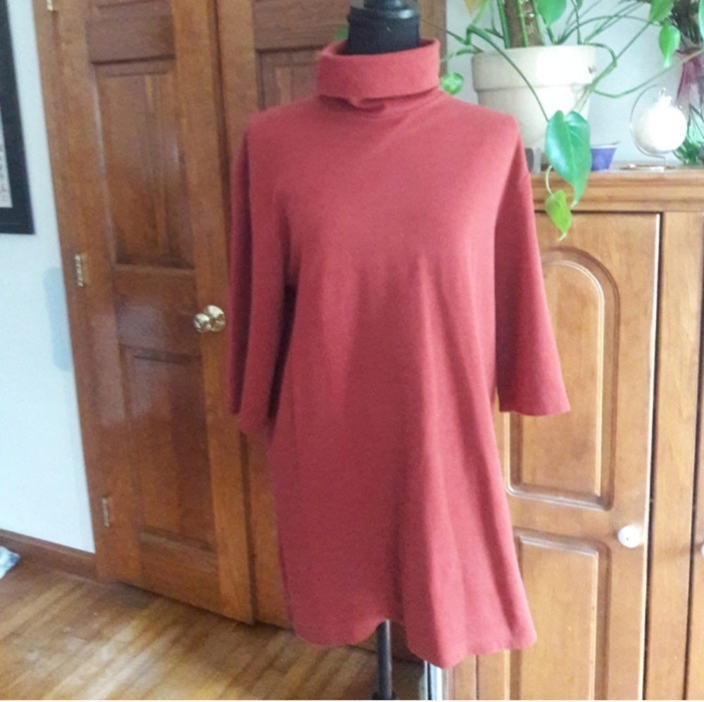 Zara Turtleneck Mini Dress Tomato Red Cozy Fall Autumn Mod Bohemian Chic Size XS